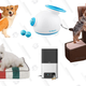 Illustration for article titled Celebrate National Dog Day By Spoiling Your Dog With These Goodies
